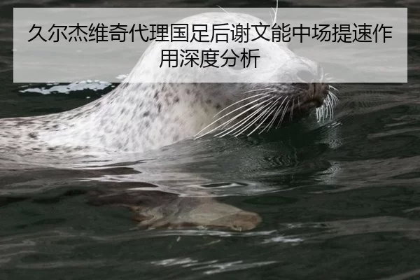久尔杰维奇代理国足后谢文能中场提速作用深度分析
